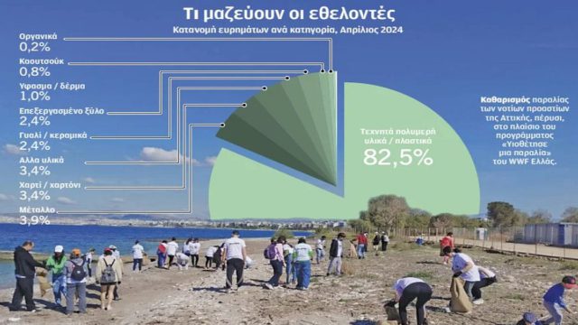 Σταματήστε να τα διώχνετε! Η σοκαριστική αλήθεια για τα φύκια που “σώζουν” τις διακοπές μας – Τι αποκαλύπτουν οι επιστήμονες