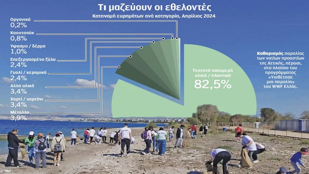 Σταματήστε να τα διώχνετε! Η σοκαριστική αλήθεια για τα φύκια που “σώζουν” τις διακοπές μας – Τι αποκαλύπτουν οι επιστήμονες