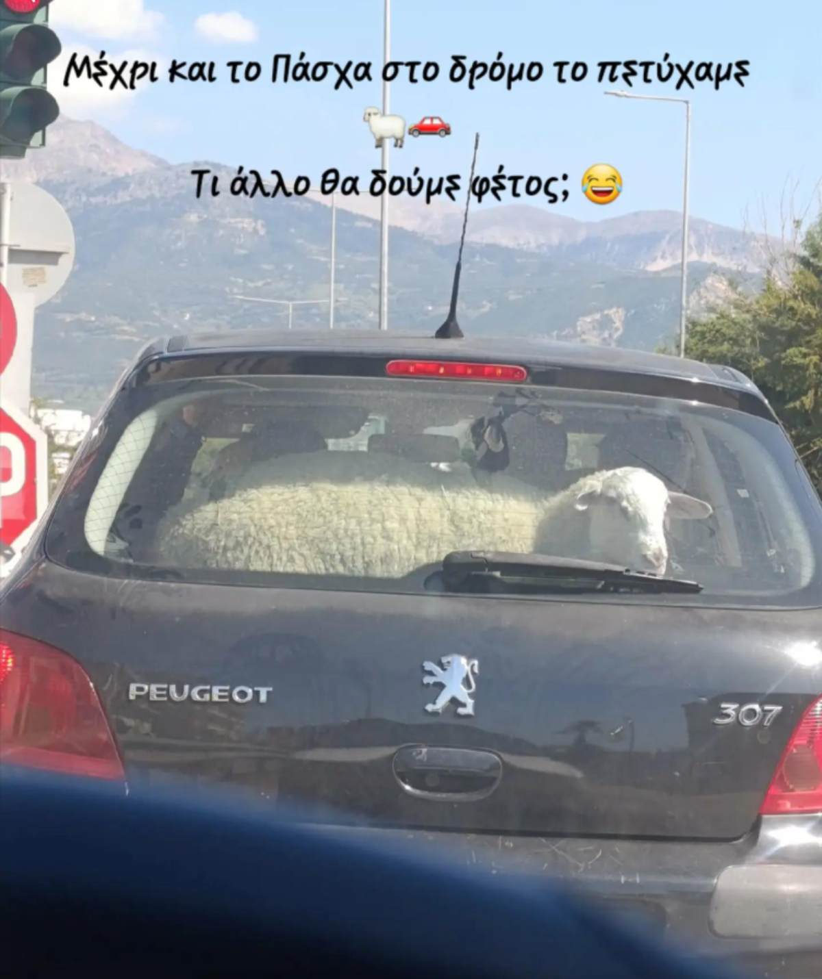 Η εικόνα που τράβηξε την προσοχή