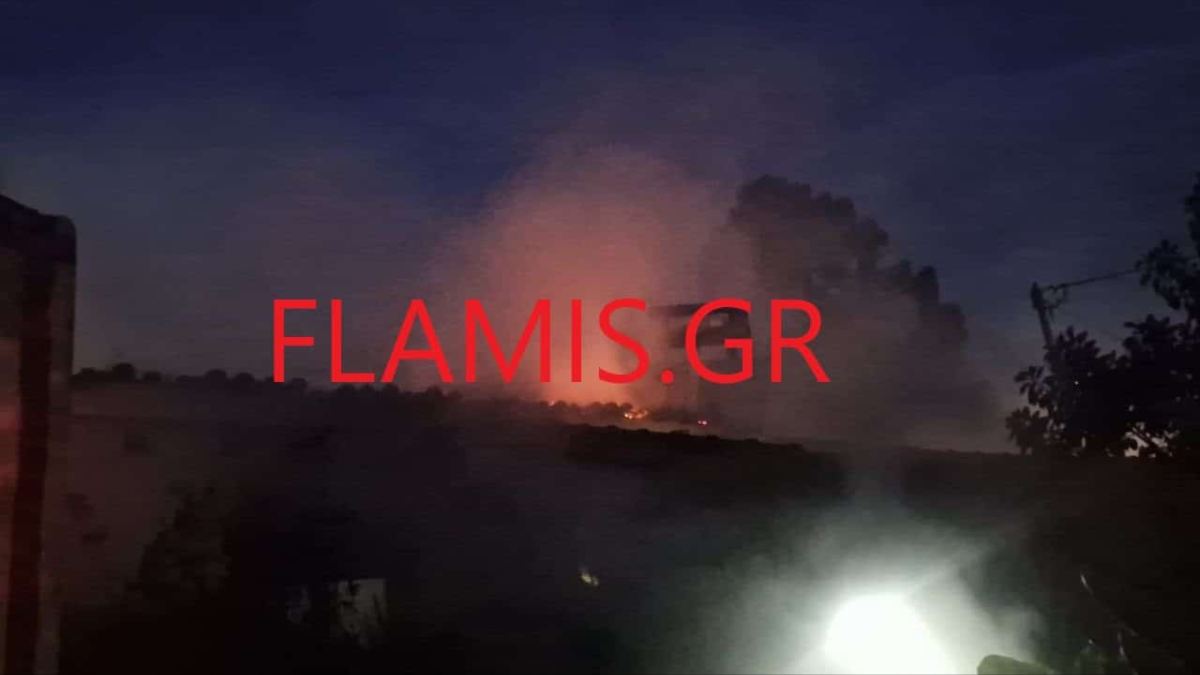 Άνδρας εντοπίστηκε νεκρός σε πυρκαγιά στην Παλαιά Εθνική Οδό