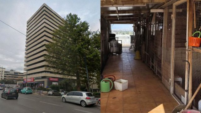 Αμπελόκηποι: CEO γνωστής εταιρείας ο άνδρας που είχε το παράνομο μαντρί σε ταράτσα 16ου ορόφου