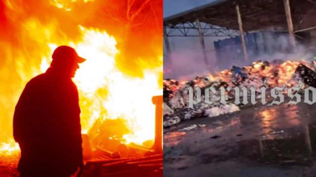 Δραματικές στιγμές στην Βοιωτία: Πυρκαγιά σε εργοστάσιο έκαψε τα πάντα – Συγκλονίζουν οι εικόνες