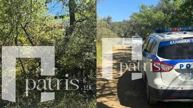 Κρήτη: «Έκατσε» πάνω σε ελιά το ελικόπτερο – Το χρονικό της αναγκαστικής προσγείωσης