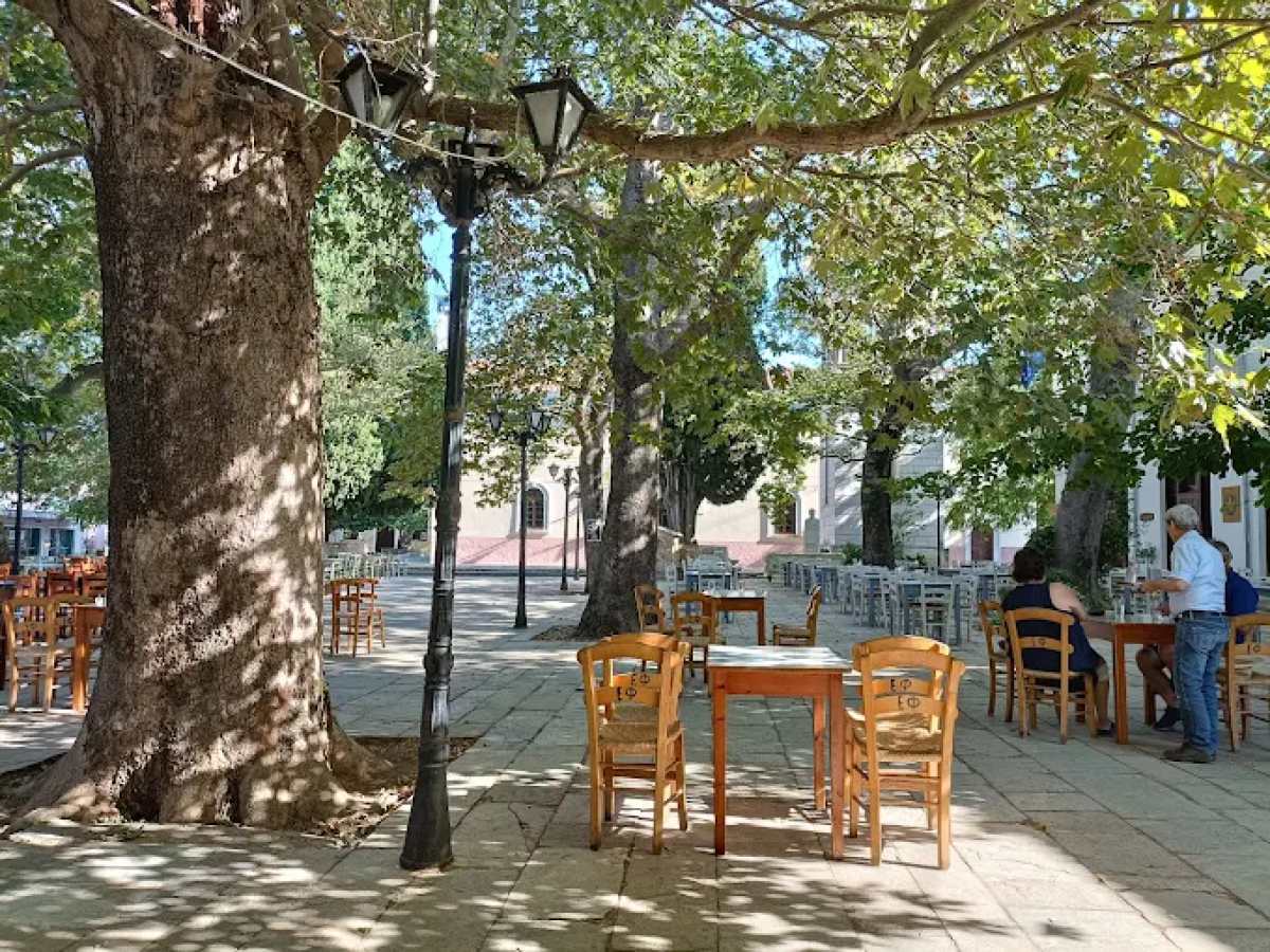 Καφενείο Φορλίδα στον Λαύκο: Ένα ζωντανό κομμάτι παράδοσης στο Πήλιο