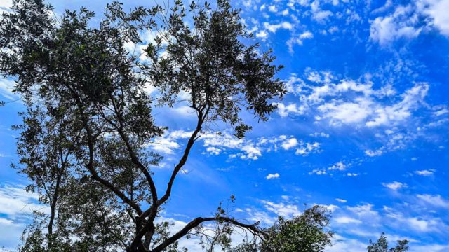 Καιρός σήμερα 26/4: Ανοιξιάτικη ζέστη και πρόσκαιρες βροχές – Η πρόγνωση Αρνιακού και Καλλιάνου