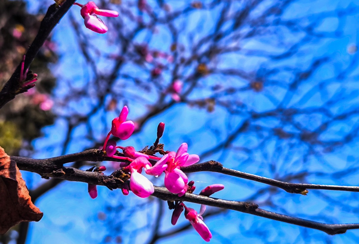 Ήπιος καιρός και λίγες τοπικές βροχές