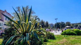 Καιρός σήμερα 19/4: Αίθριος με υψηλές θερμοκρασίες – Οι προγνώσεις Αρνιακού και Τσατραφύλλια