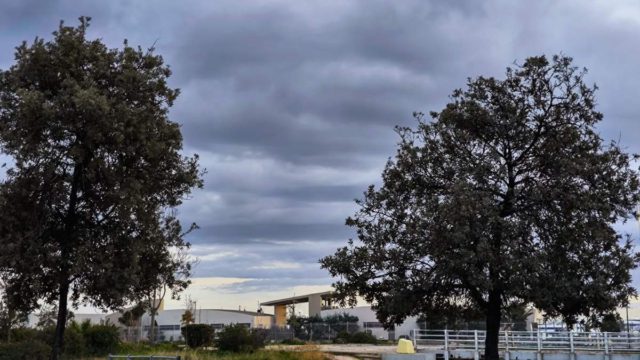 Καιρός σήμερα 5/4: Με δύο «πρόσωπα» η Κυριακή των Βαΐων – Πού θα βρέξει σύμφωνα με τη Ρήγου και την Τυράσκη