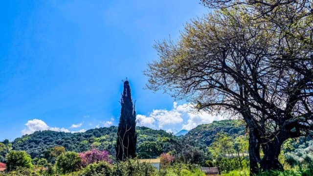 Καιρός σήμερα 13/4: Πώς επιστρέφουν οι εκδρομείς της Δευτέρας του Πάσχα – Η πρόγνωση Τυράσκη και Ρήγου