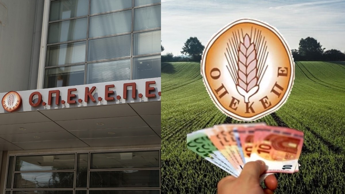ΟΠΕΚΕΠΕ: Πρώην πρόεδρος μίλησε ανώνυμα στον Alpha – «Λογικά και παράλογα αιτήματα από βουλευτές και Υπουργούς»