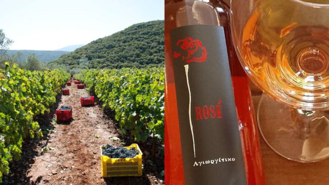 Οινικό οδοιπορικό στην Ελλάδα: 3 προορισμοί που κάθε λάτρης του κρασιού πρέπει να επισκεφθεί