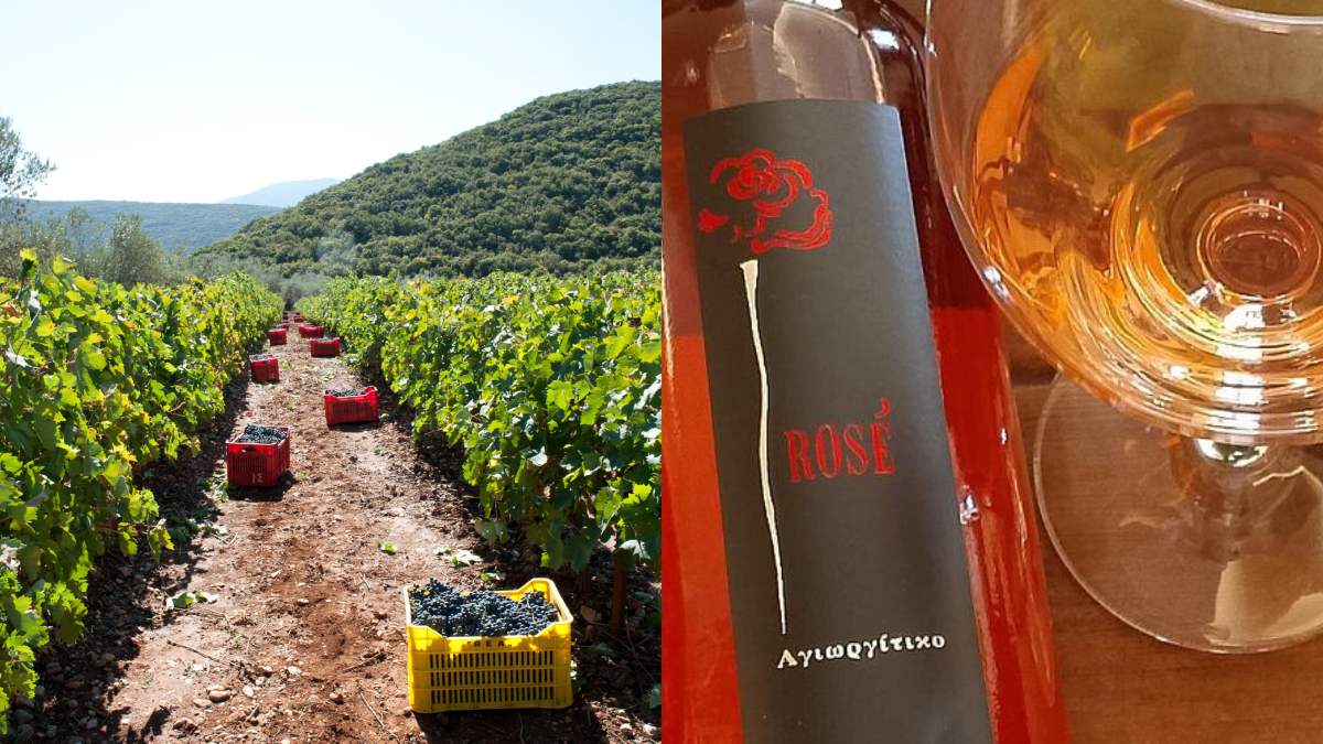 Οινικό οδοιπορικό στην Ελλάδα: 3 προορισμοί που κάθε λάτρης του κρασιού πρέπει να επισκεφθεί