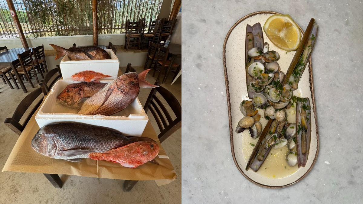 «Σαν να τρως στο κύμα»: Το γαστρονομικό «διαμάντι» που κάνει όλη την Αθήνα να παραμιλά – Το μυστικό της οικογένειας Τσικρίκα στο Κέκρωψ