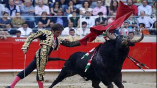 Σεβίλλη: Στην εντατική πασίγνωστος ταυρομάχος μετά από σοβαρό τραυματισμό που πάγωσε την αρένα (Βίντεο)