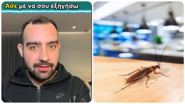 Ακούγεται τρελό αλλά οι κατσαρίδες σε λίγα χρόνια θα γίνουν ανίκητες – Δεν θα μπορείς να τις σκοτώσεις 