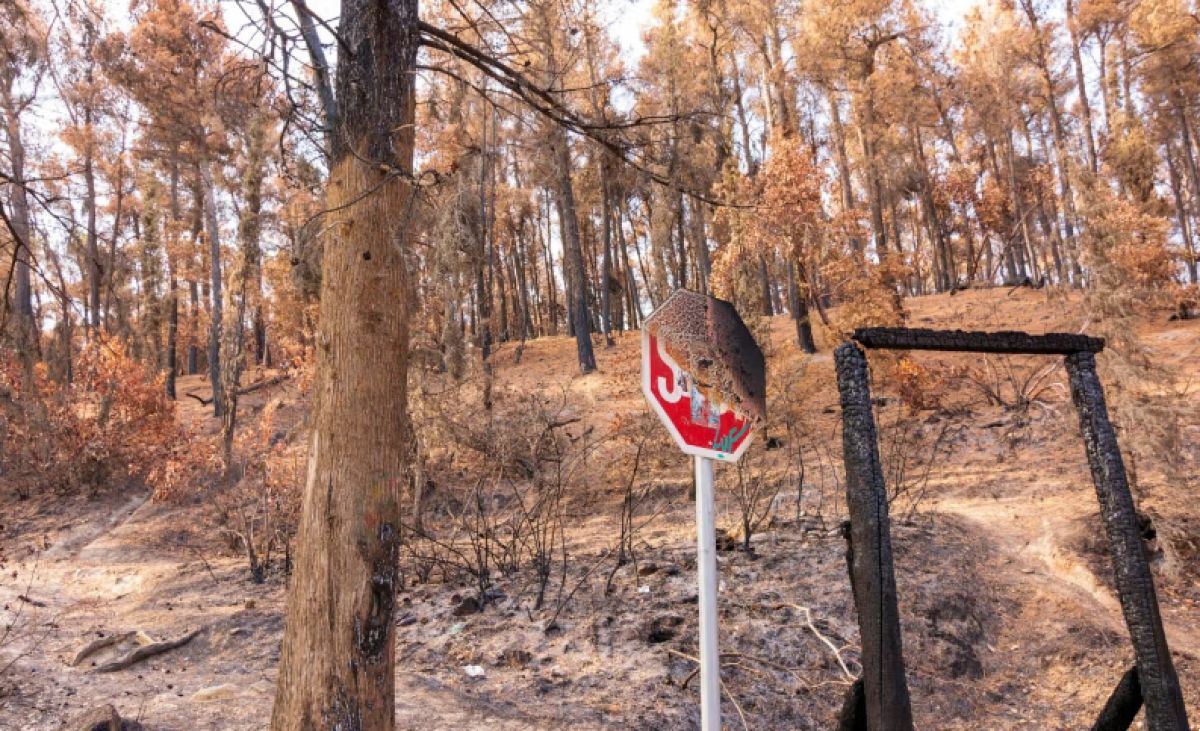 Τι πρόστιμο θα κληθούν να πληρώσουν όσοι δεν καθαρίσουν τα οικόπεδα τους