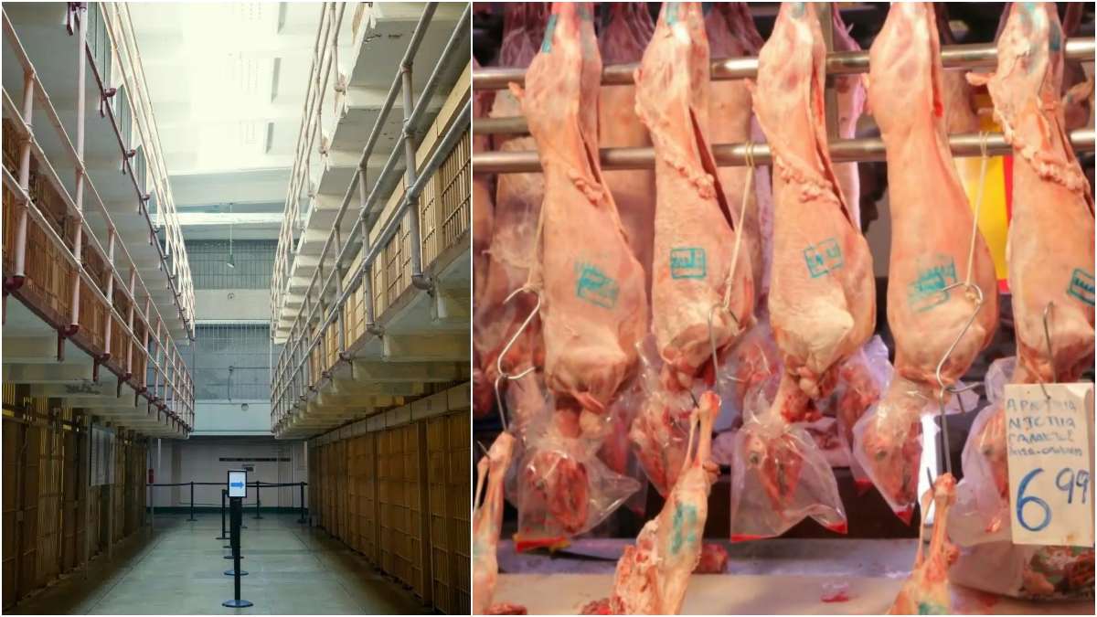 Το απόλυτο «γλέντι» πίσω από τα κάγκελα: Κρατούμενος στις φυλακές Κρήτης πρόσφερε 400 κιλά αρνιά για τη γιορτή του!