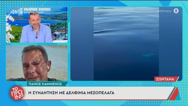 Η μαγική συνάντηση του Πάνου Καμμένου με δελφίνια στο Αιγαίο: «Είναι η ελπίδα για τις θάλασσές μας»