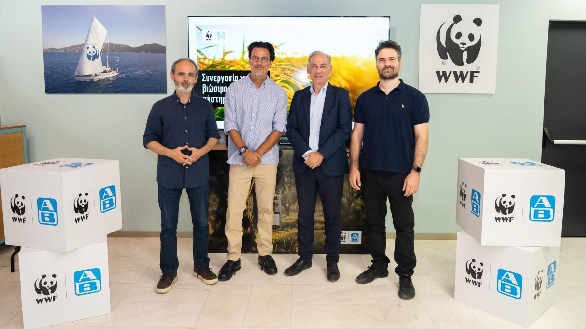 ab wwf