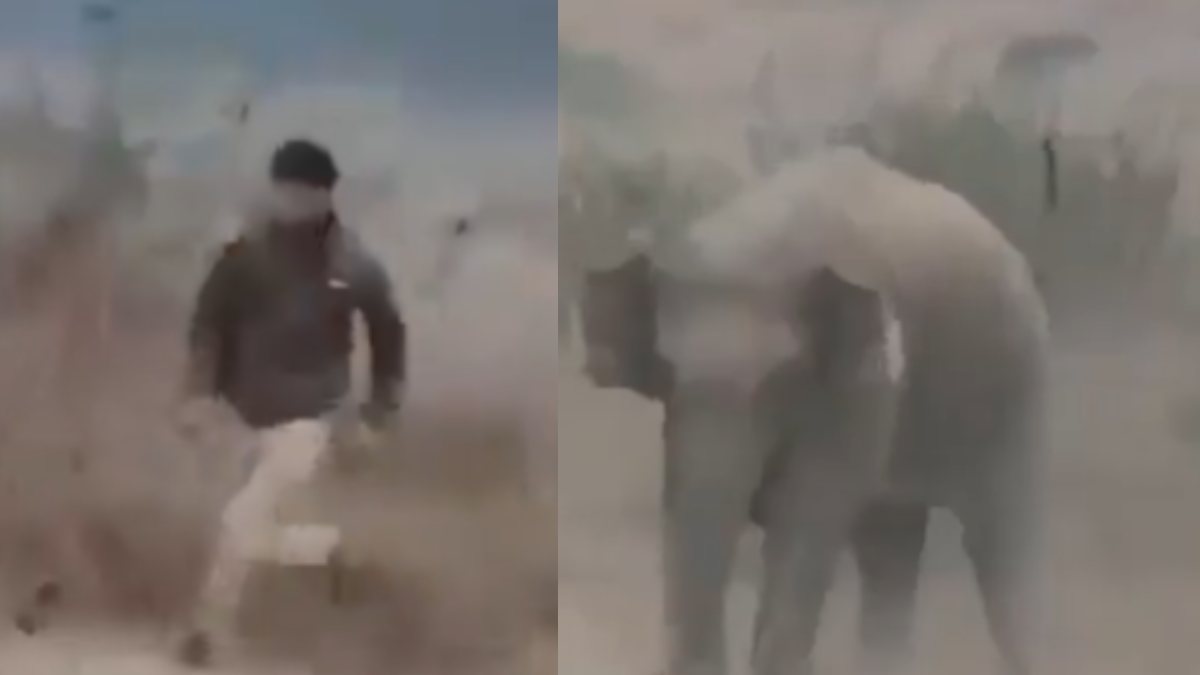 Viral βίντεο: Ελέφαντας ποδοπατά μέχρι θανάτου διάσημο εκατομμυριούχο σε σαφάρι – Σκληρές εικόνες