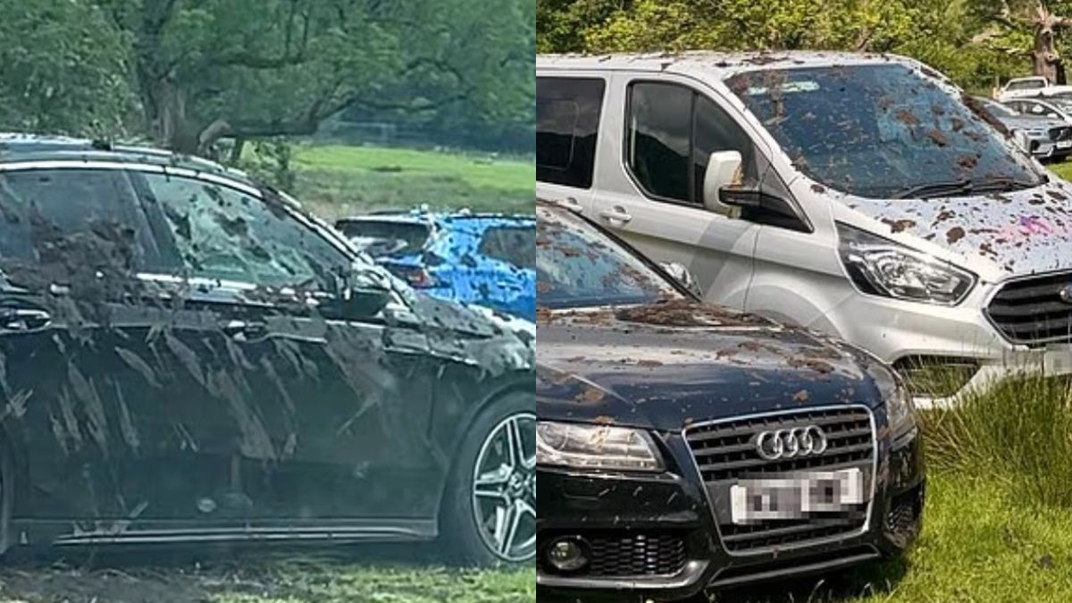 Βίντεο σοκ από τον αγρότη που «εκδικήθηκε» οδηγούς που πάρκαραν στο χωράφι του – Η στιγμή που καλύπτει αυτοκίνητα με κοπριά