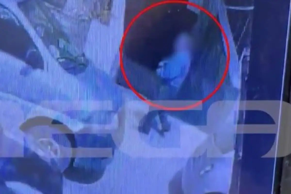 Νέο περιστατικό βίας κατά ζώου προκαλεί σάλο – Οι καταγγελίες σε βάρος πρώην αντιδημάρχου