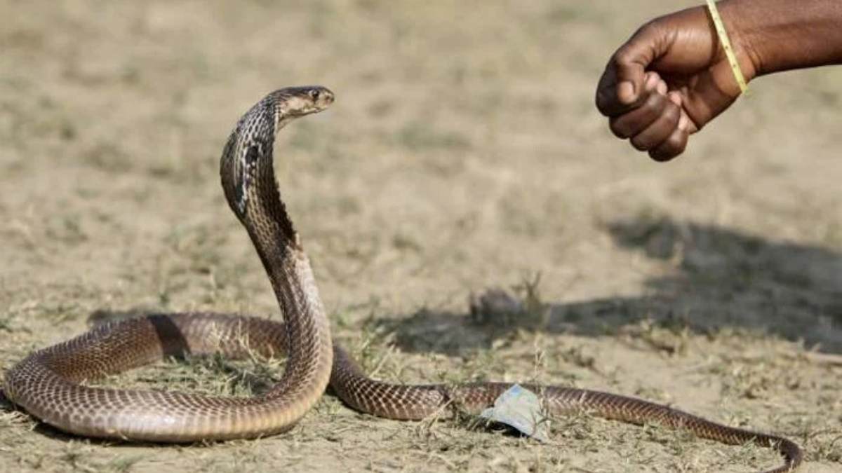 Τραγωδία στην Ινδία: 13χρονο αγόρι πέθανε μετά από «θεραπεία» στον Γάγγη για δάγκωμα φιδιού