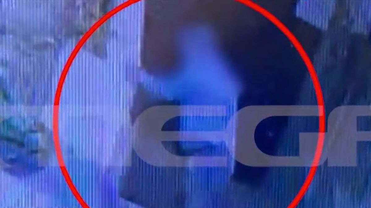 «Πάγωσε» η Κρήτη: Αντιδράσεις για υπόθεση με γατάκι και πρώην αντιδήμαρχο