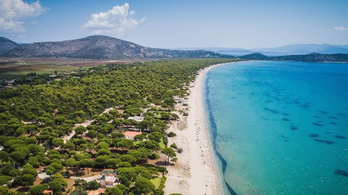 Δεν θα πιστεύεις ότι είναι τόσο κοντά στην Αθήνα – Το μαγικό μέρος με δάσος και θάλασσα