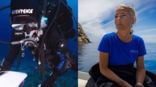 Το μυστήριο του «Σπηλαίου των Καρχαριών»: Πώς χάθηκαν 5 έμπειροι δύτες σε βάθος 60 μέτρων στις Μαλδίβες