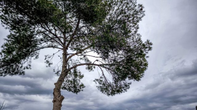 Καιρός σήμερα 17/5: Πού θα σημειωθούν τοπικές βροχές- Η πρόγνωση Αρνιακού και Τυράσκη