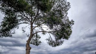 Καιρός σήμερα 2/5: Φθινόπωρο στην καρδιά της άνοιξης – Πού θα «χτυπήσουν» καταιγίδες σύμφωνα με Ρήγου και Γιαννόπουλο