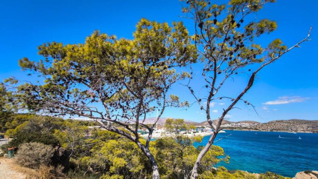 Καιρός σήμερα 5/5: Ανοιξιάτικο σκηνικό με υψηλές θερμοκρασίες – Η πρόγνωση Ρήγου και Τσατραφύλλια