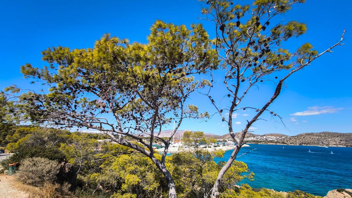 Καιρός σήμερα 5/5: Ανοιξιάτικο σκηνικό με υψηλές θερμοκρασίες – Η πρόγνωση Ρήγου και Τσατραφύλλια