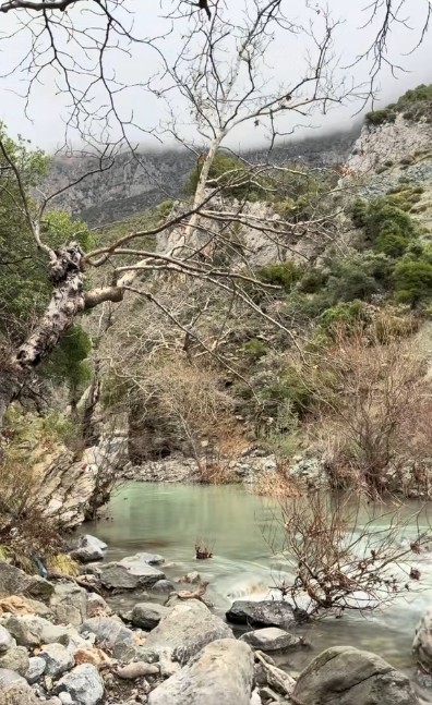 Η φύση γύρω από τις Πηγές Κολέθρας