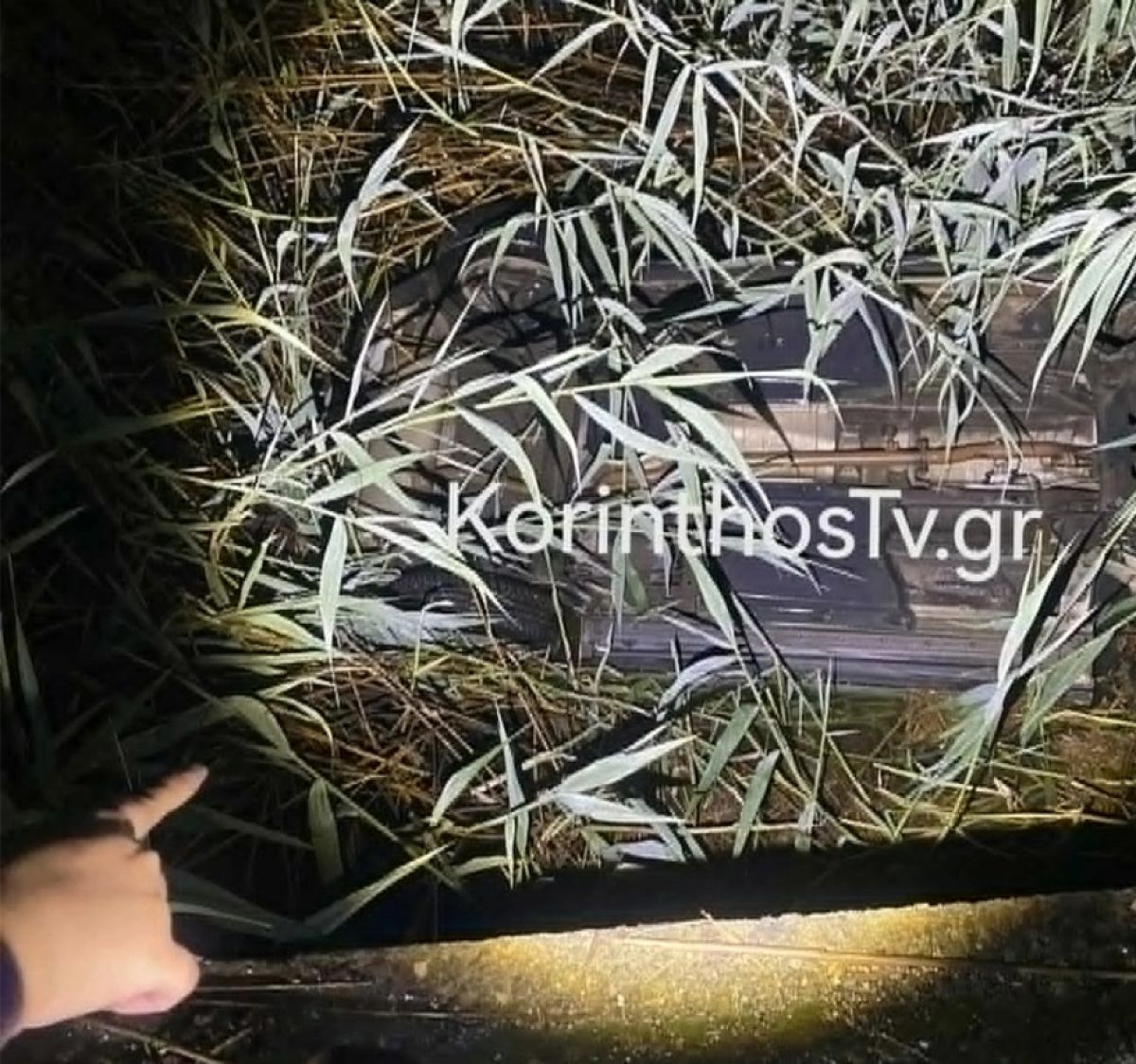 Θρήνος στον Φενεό: Νεκρός σε τροχαίο ο 37χρονος διευθυντής Δημοτικού Σχολείου
