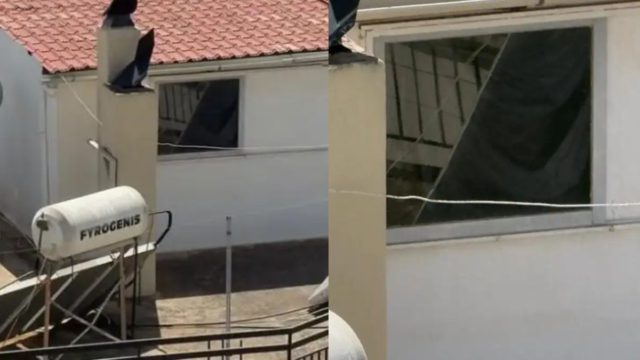 Σοκ στο Περιστέρι: Αυτό είναι το δώμα που έμεναν τα 6 παιδιά – Ξέσπασε η γιαγιά για το κολάστηριο με τις ακαθαρσίες (βίντεο)