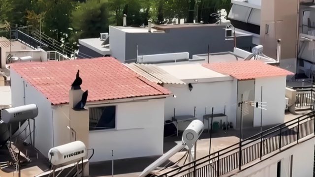 Έγκυος για 7η φορά η γυναίκα που μαζί με τα 6 παιδιά της  ζούσαν σε «τρώγλη» και μέσα στις ακαθαρσίες