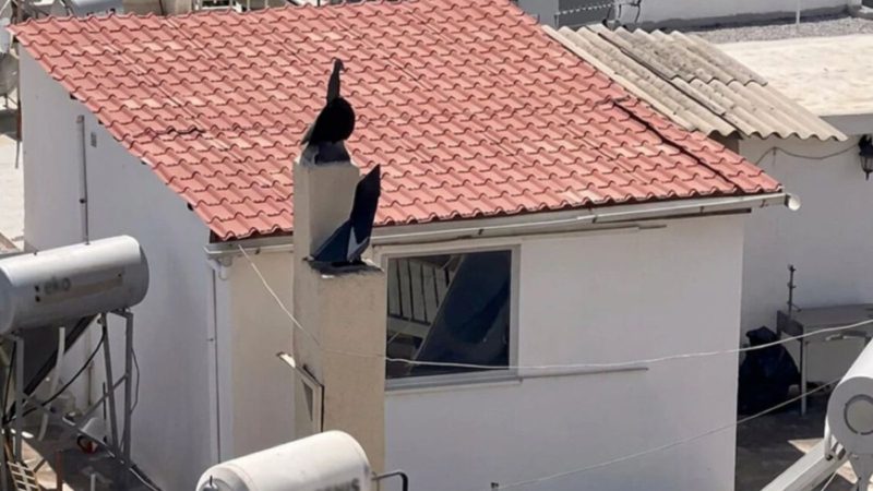 Σοκ στο Περιστέρι: Νέες μαρτυρίες για τα έξι παιδιά που ζούσαν μέσα στη βρωμιά – «Φορούσαν πάνες, ήταν σαν στρατιωτάκια»