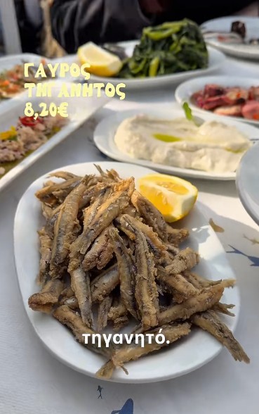 Γαύρος τηγανητός