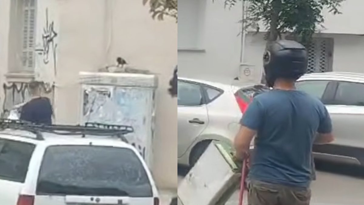Αλλεπάλληλες επιθέσεις στην Θεσσαλονίκη: Ένα κοράκι… τρομοκρατούσε μια ολόκληρη γειτονιά – Δείτε πως το αντιμετώπισαν (βίντεο)