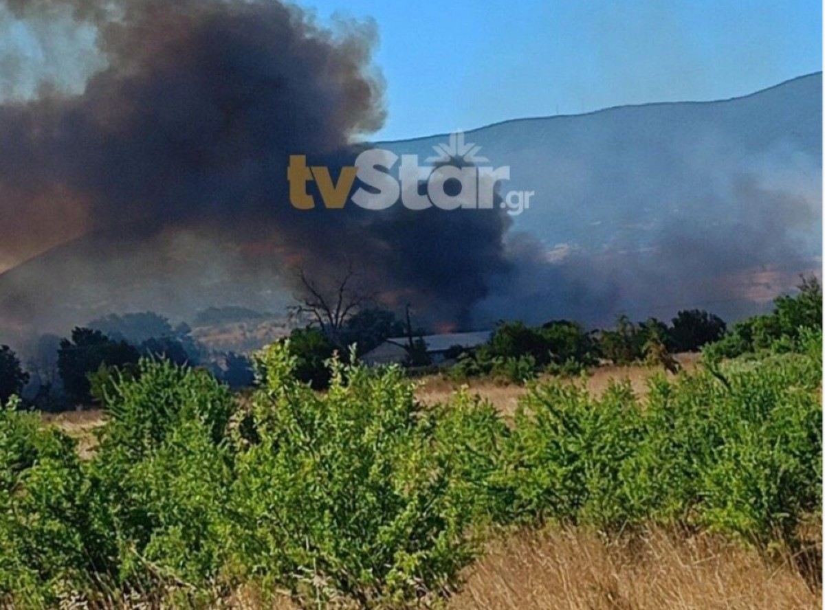 Οι φλόγες εξαπλώθηκαν σε περιοχή με χαμηλή βλάστηση και δέντρα