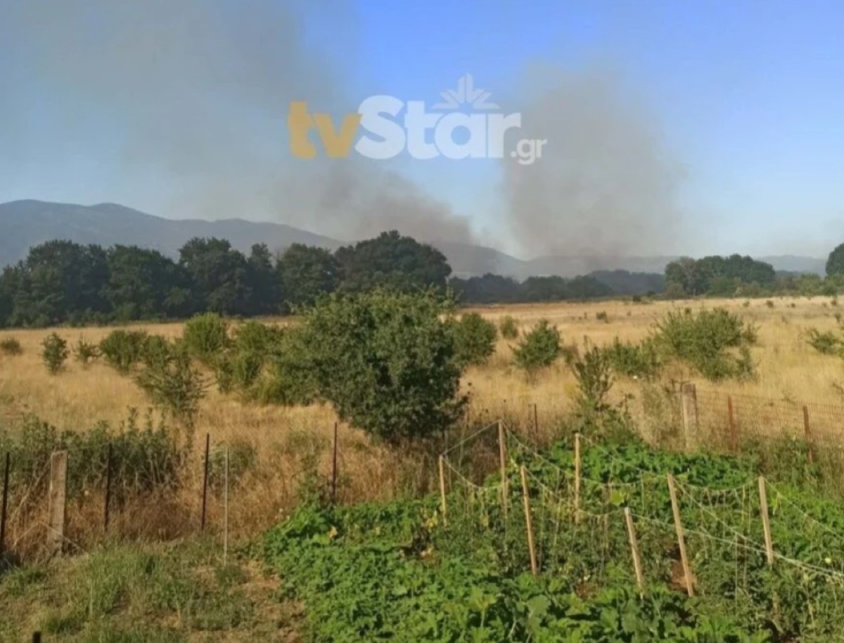 Μετέβησαν στην περιοχή και πυροσβέστες από τη γειτονική Φθιώτιδα