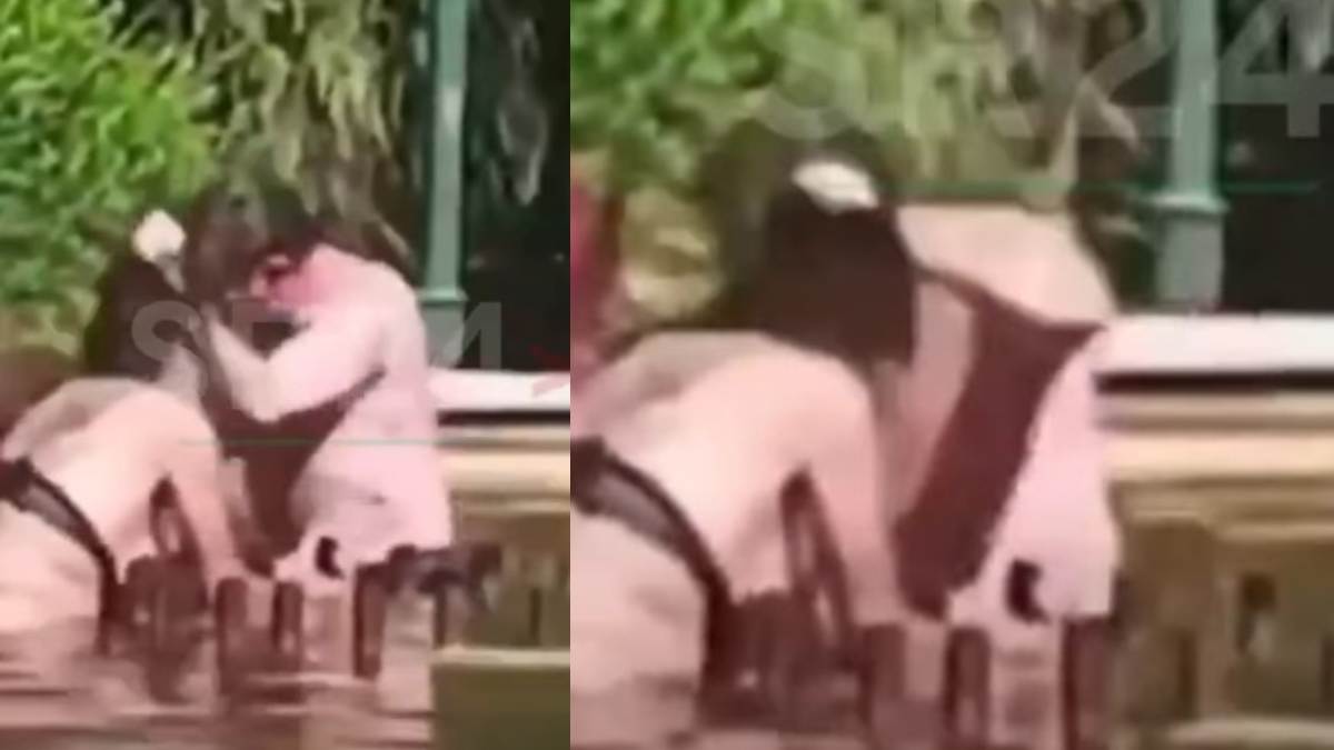 Νέα απόπειρα γυναικοκτονίας συγκλονίζει: Άνδρας προσπαθεί να πνίξει γυναίκα σε συντριβάνι – Το βίντεο κόβει την ανάσα