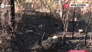 Κορινθία: Πρώην υποψήφια βουλευτής η 57χρονη που συνελήφθη για εμπρησμό – Το βίντεο-ντοκουμέντο που την «έκαψε» και οι απίστευτες δικαιολογίες της!