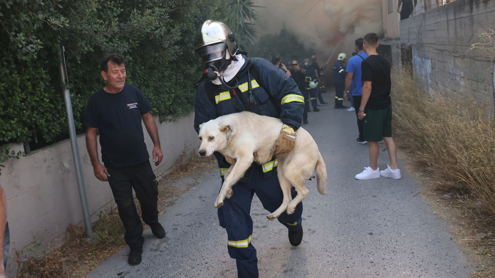 Η εικόνα από το Ηράκλειο που λύγισε το διαδίκτυο: Ήρωας πυροσβέστης σώζει ένα τρομαγμένο σκυλάκι από την κόλαση της φωτιάς!