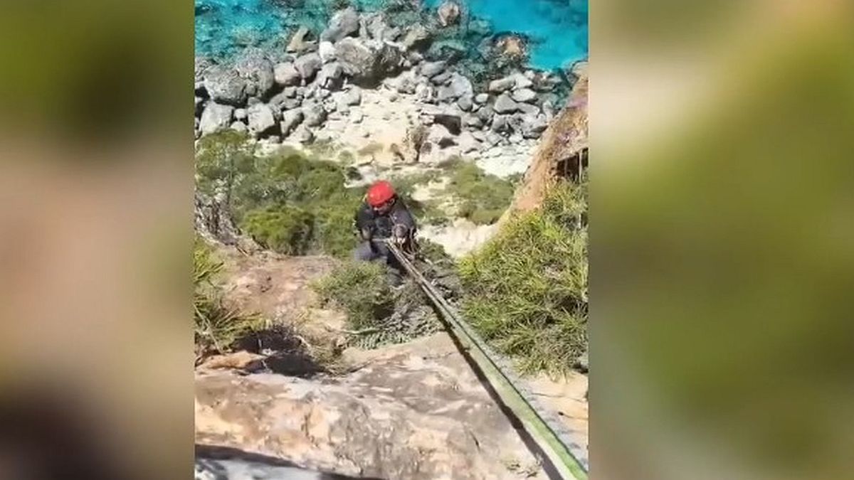 Ζάκυνθος: Εντυπωσιακή διάσωση σκύλου που εντοπίστηκε σε δύσβατη περιοχή