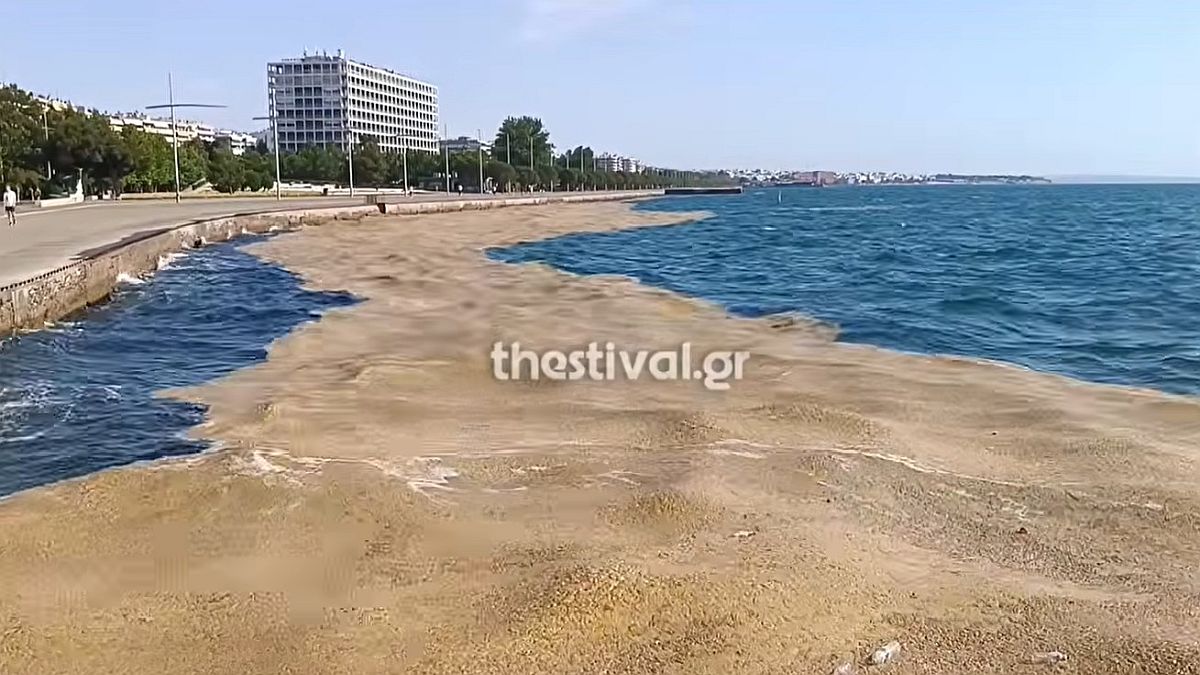 Συναγερμός στη Θεσσαλονίκη: Πνίγεται στη δυσοσμία ο Θερμαϊκός – Εφιαλτική επιδείνωση για την «ερυθρά παλίρροια» από το Μέγαρο μέχρι την παλιά παραλία!