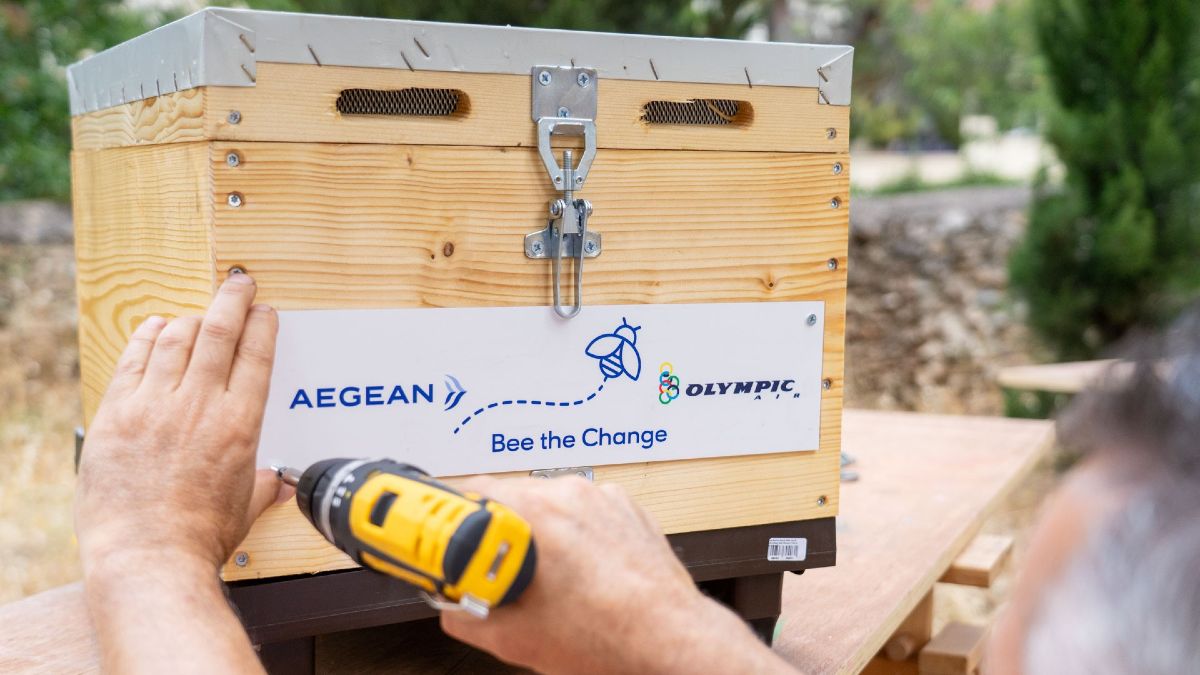 bee the change