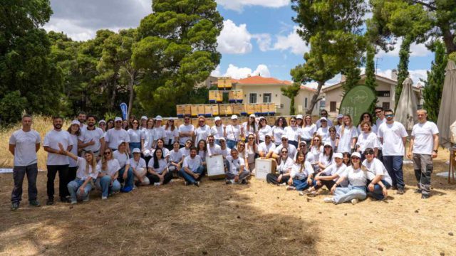 «Bee the Change»: Η team AEGEAN γιόρτασε την Παγκόσμια Ημέρα Περιβάλλοντος, αναλαμβάνοντας δράση για την προστασία των μελισσών